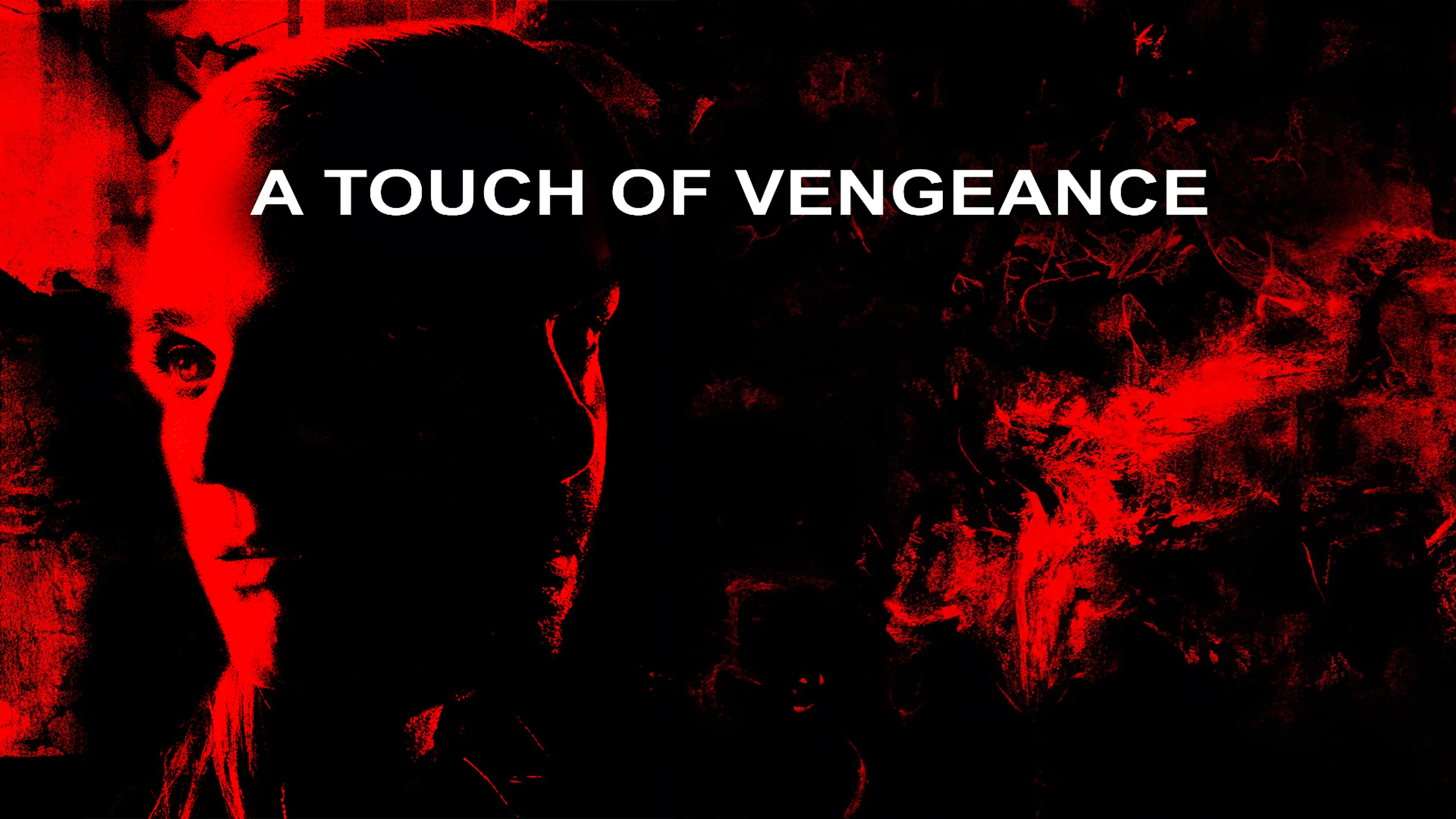 A Touch of Vengeance poster